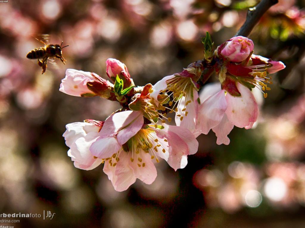 យុទ្ធសាស្ត្រ និងបច្ចេកទេសក្នុងការងារ